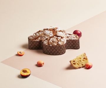 Colomba Pesca e albicocca Pasticceria Giotto