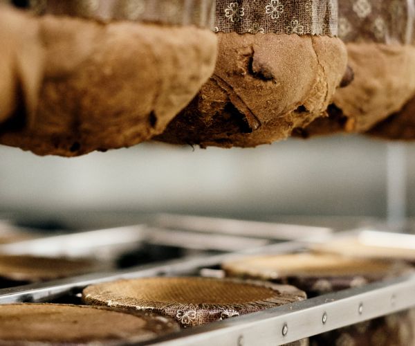 Panettone Amarene Gianduia